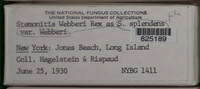 Image Associated With the Occurence